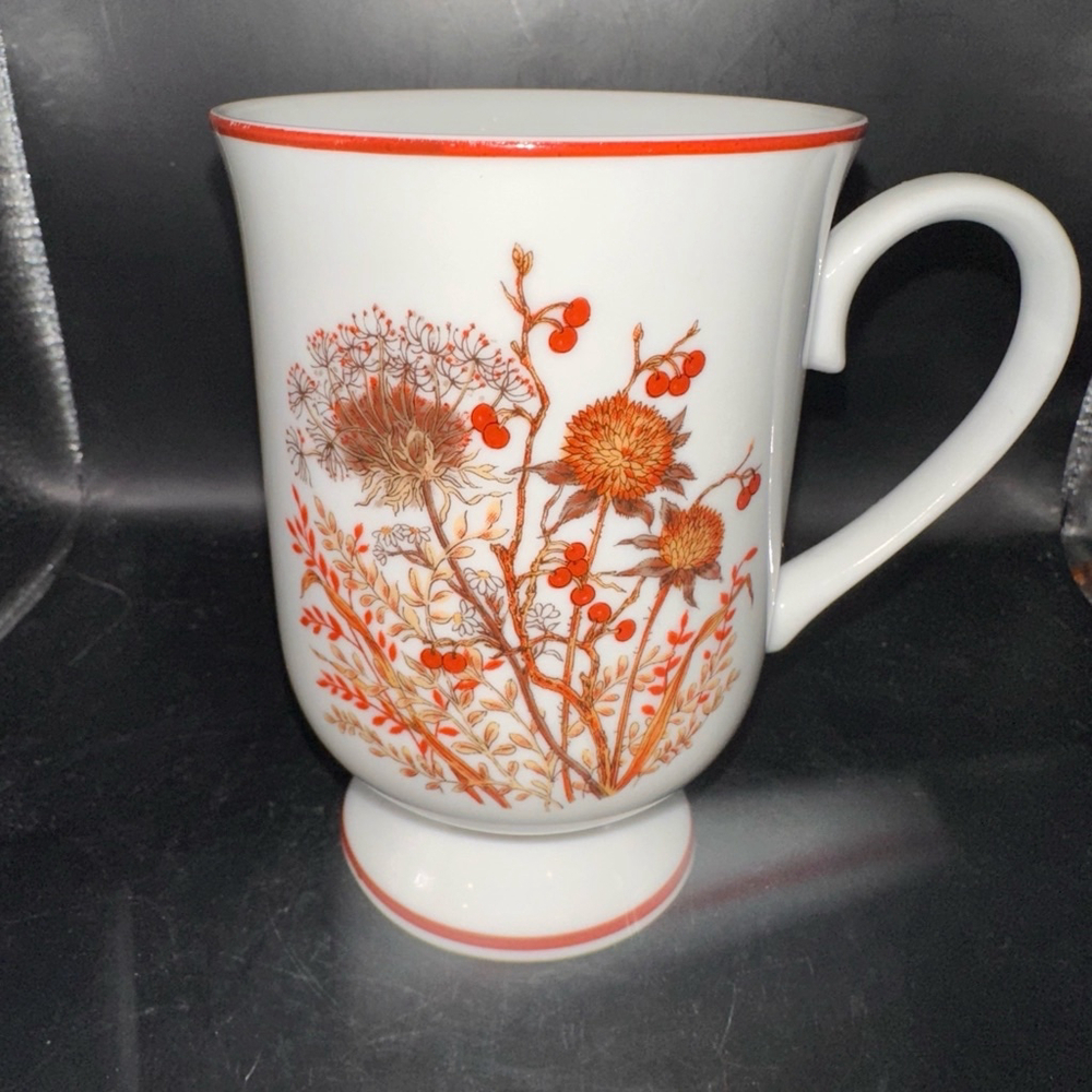 Pristine Vintage Bramble Fanci Florals Collection Footed Porcelain Mug Japan